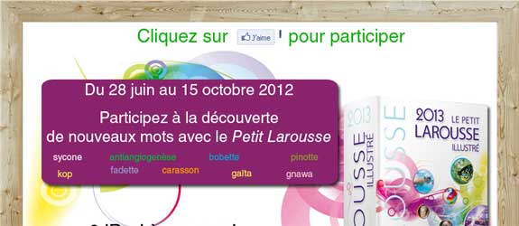 Larousse.fr - Jeu facebook Larousse