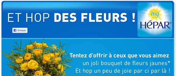 Hepar.fr - Jeu facebook Hepar