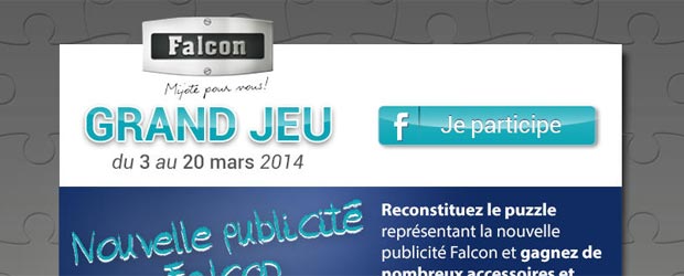 Falconfrance.com - Jeu facebook Falcon France