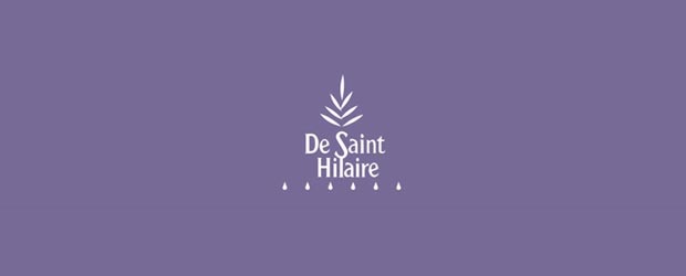 De-saint-hilaire.fr - Jeu facebook De Saint Hilaire