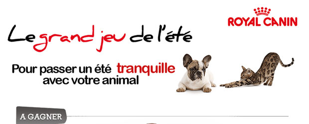 Jeu facebook Royal Canin