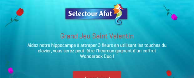 Jeu facebook Selectour Afat